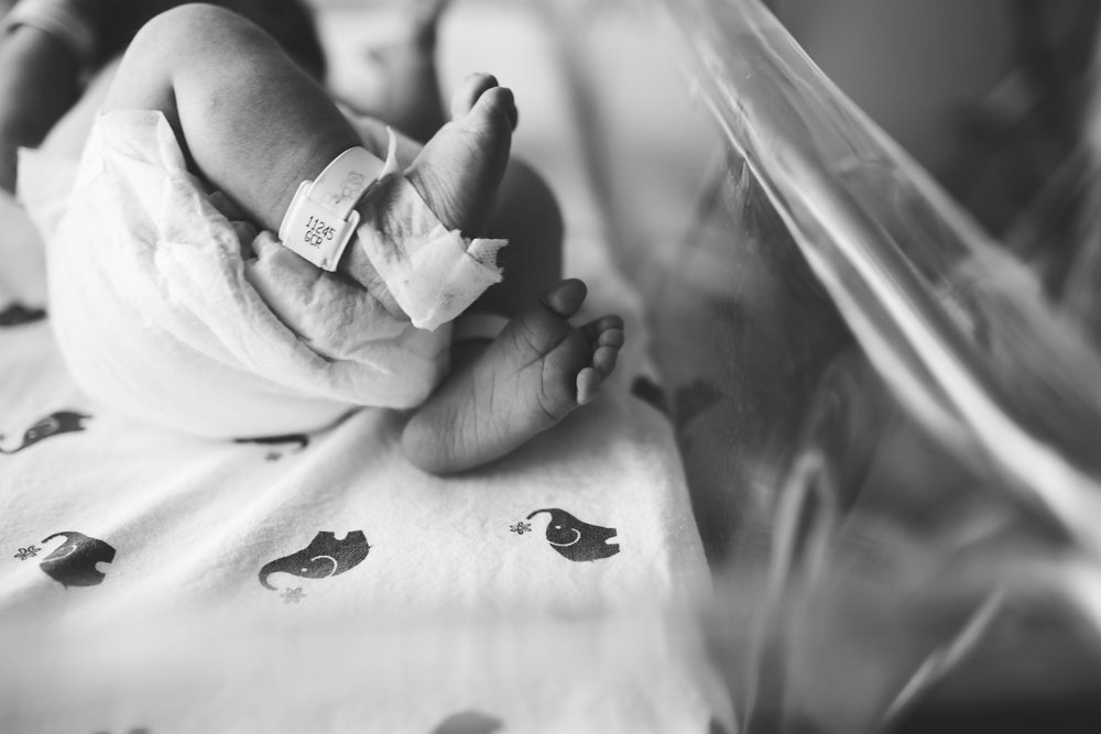 Becci Ravera Photography Roseville Sacramento and Northern CA Photographer  Family and Newborn Lifestyle Photographer_0166.jpg